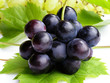 blue grapes blue grapes