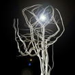 Idea Brain