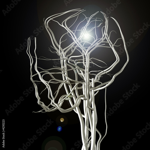 Illustration: Idea Brain Idea Brain