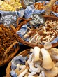 MUSHROOMS MUSHROOMS