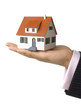 House miniature