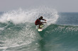 surf
