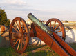 Old field-gun