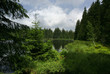 Landscape, 6