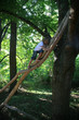 enfant arbre