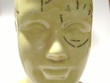 Phrenology 2