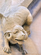Gargoyle Gargoyle