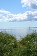 parc forillon2
