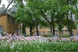 Stiftsgarden, Munkegata, Trondheim, Norway Stiftsgarden, Munkegata, Trondheim, Norway