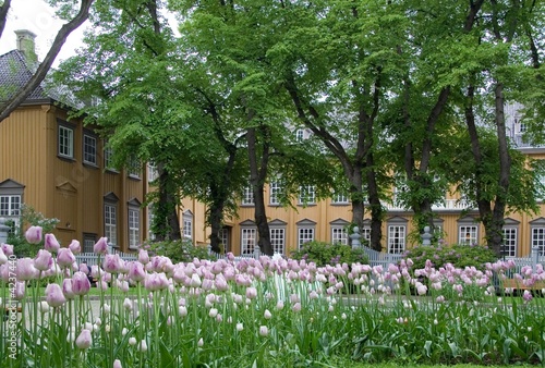 Stiftsgarden, Munkegata, Trondheim, Norway Stiftsgarden, Munkegata, Trondheim, Norway