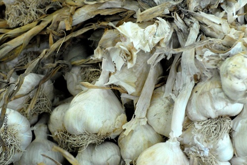 aglio aglio
