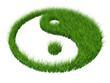 grass yang