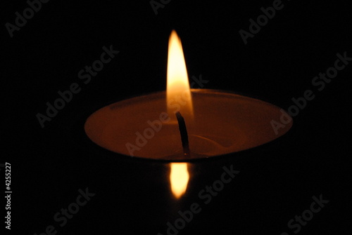 candela candela