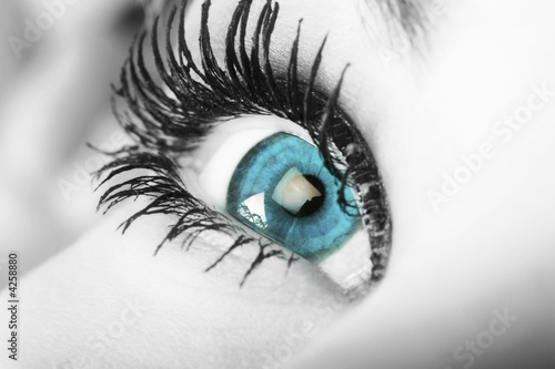 Photo: blue eyes blue eyes