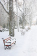 Red benches in the fog in winter Red benches in the fog in winter