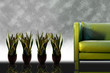 Sofa and plants