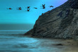 Ducks flying over the ocean