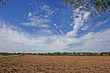 View Acroo A Ploughed Field View Acroo A Ploughed Field
