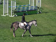 Foto: determination determination