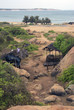 Way to the beach