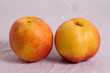 pesche