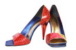 Fashionable female shoes Fashionable female shoes