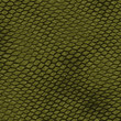 snake skin texture background