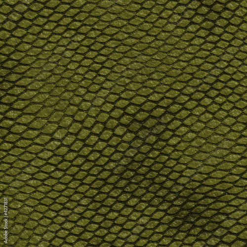 background texture images. snake skin texture background