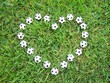 football heart
