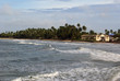 Palm trees and sea Palm trees and sea