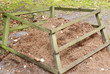 ant nest