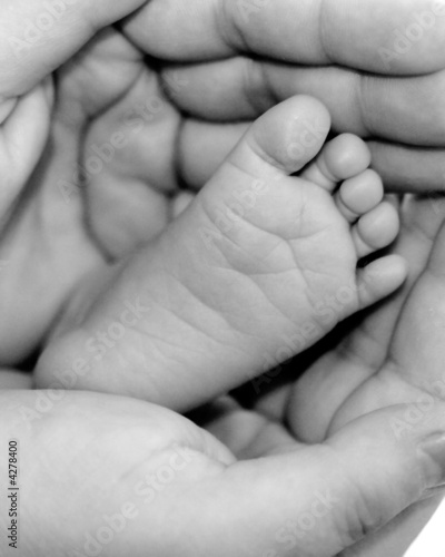Foto: foot foot