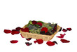 Plants in a small basket
