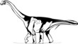 Brontosaur