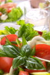 Fresh Salad
