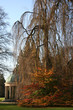 Erdbeertempel