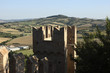 torre torre