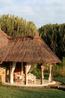 Safari lodge
