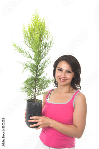Photo: plant a tree plant a tree