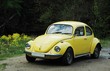 yellow vw beetle yellow vw beetle