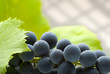 grape