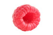 Isolated single raspberry