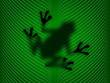Frog on a green leaf - digital illustration Frog on a green leaf - digital illustration