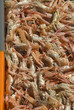 Casier de langoustines sur le port du Guilvinec