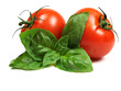 basil and tomatoes