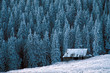 Old shelter in the Gorce mountains