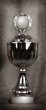 Pokal