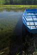 Boat detail in pond