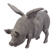flying pig