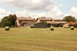 fattoria fattoria